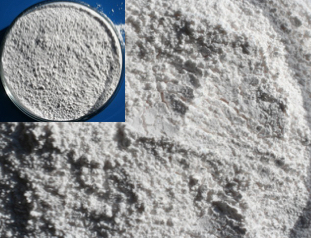 ÓXIDO DE ZINC SELLO DE ORO